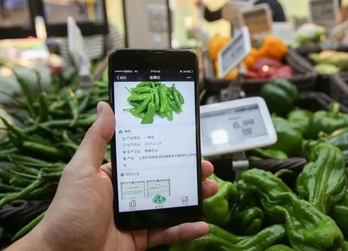 為什么要農產品溯源？一文為你解答智能農業管理